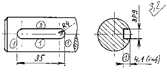 image260066519